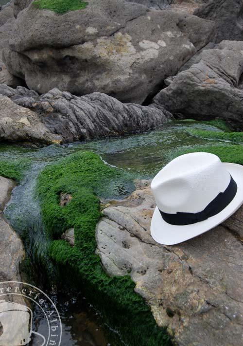 Este Verano ¡a la Playa!, pero con Sombrero…