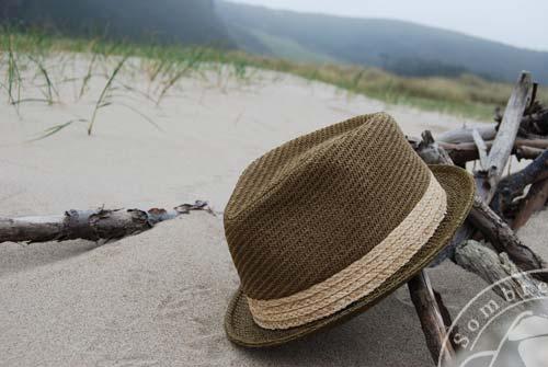 Este Verano ¡a la Playa!, pero con Sombrero…