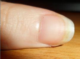 Review: Taco pulidor de uñas