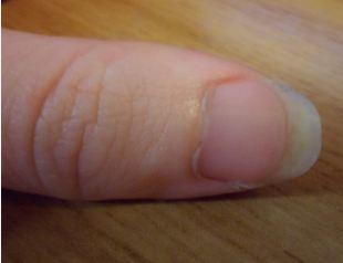 Review: Taco pulidor de uñas