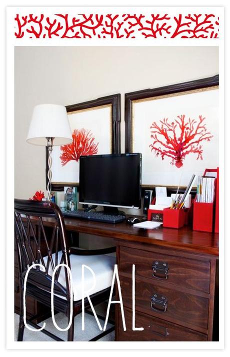 coral3 PAISAJE MARINO