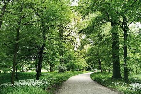 Los Jardines Mas Bonitos de Italia