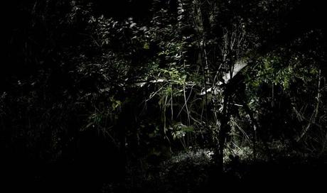 carlos-irijalba-inercia-7