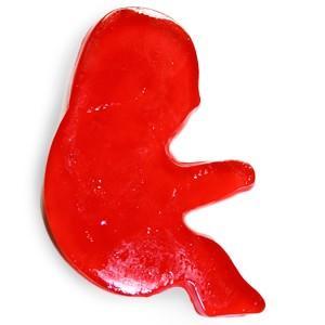 Jabón con forma de feto