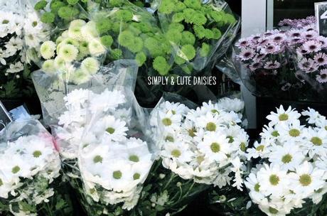 Things I loved today Things I loved today