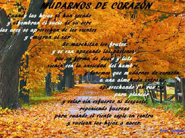 ...Las Miradas....(Poemas 4)