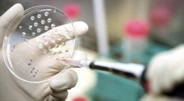 Crean escudo de celulas madre para combatir el cancer.