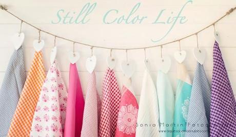 Still color life “Still Color Life”