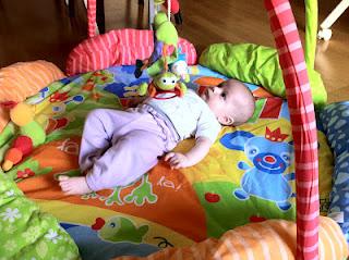 Nuevo miembro en Espacios Vivos