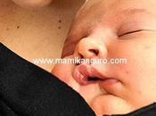 claves para criar apego