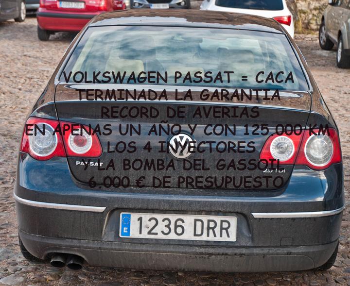 Volkswagen Passat = Caca pinchada en un palo.   Por Max. Capitulo nº1