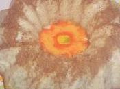 Flan arroz