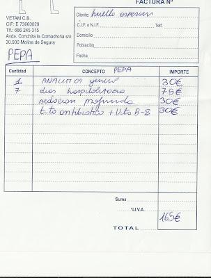 PEPA, una mama abuelita, a punto de morir, ahora busca adopcion y poder pagar sus gastos.‏ (Murcia)