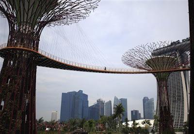 BOSQUE ARTIFICIAL EN SINGAPUR