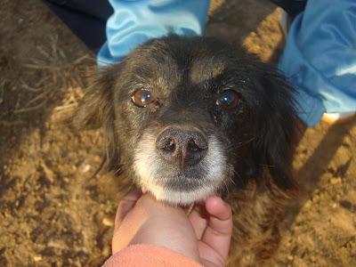ROCIO EN LA CALLE Y MINADA DE BICHOS. (HUELVA)