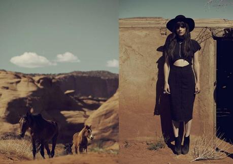 ALL THE WILD HORSES