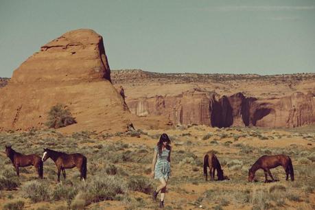 ALL THE WILD HORSES