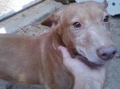 Petición AYUDA desesperada