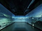 Coca Cola Year Exhibition