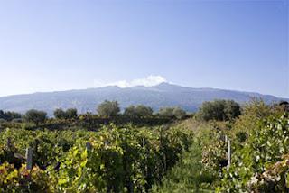 Los caminos del vino del Etna