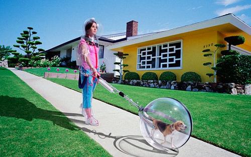 1337464231_glen-wexler11