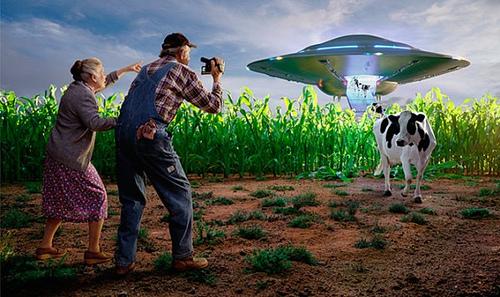 1337464268_glen-wexler12