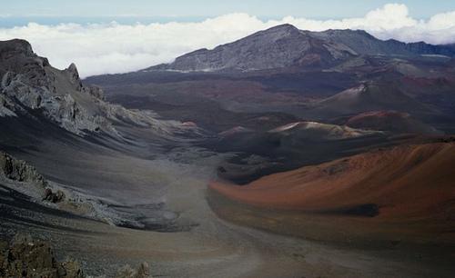 1337464374_glen-wexler29