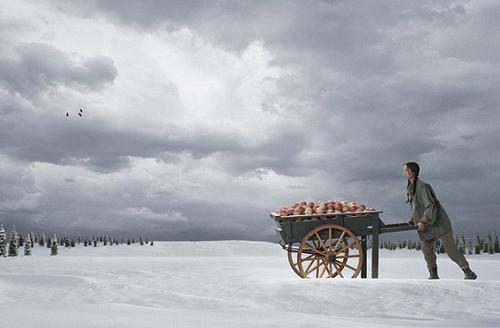 1337464280_glen-wexler5