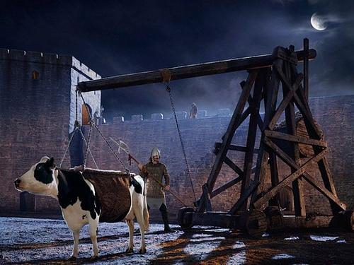 1337464262_glen-wexler13