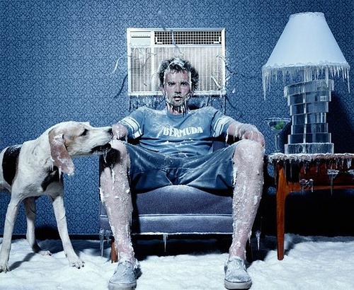 1337464223_glen-wexler4