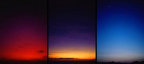 1337464384_glen-wexler26