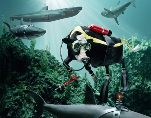 1337464422_glen-wexler30