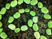 Domingo, resumen pretensiones semana acaba)