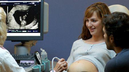 “Un feliz acontecimiento”: La mejor filosofía de la vida “Un feliz acontecimiento”: La mejor filosofía de la vida