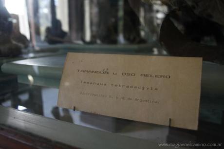 La Plata despierta tus sentidos (otros)