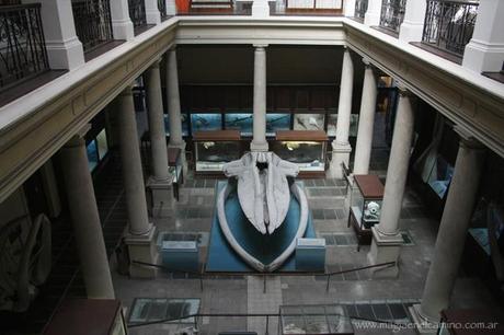 La Plata despierta tus sentidos (otros)