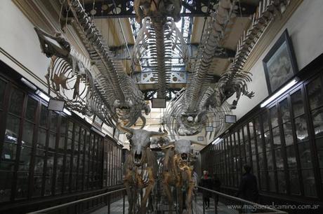 La Plata despierta tus sentidos (otros)