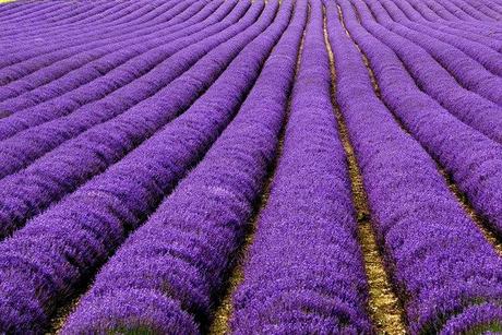 Paisajes