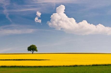 Paisajes