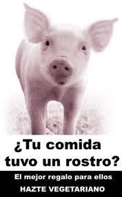 g343 Comer animales, no gracias!!! (Dieta vegetariana)