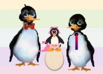 20120521034351-pinguinos-gay.jpg