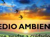 educación medioambiental, principio futuro