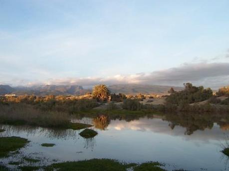 Bahía Felíz, una Playa con Encanto