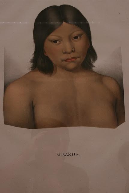 Colección Brasiliana Itaú