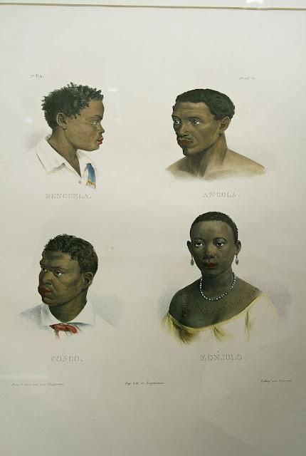 Colección Brasiliana Itaú