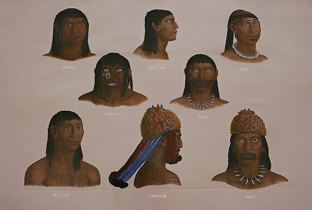 Colección Brasiliana Itaú