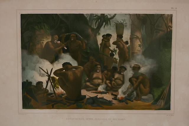 Colección Brasiliana Itaú