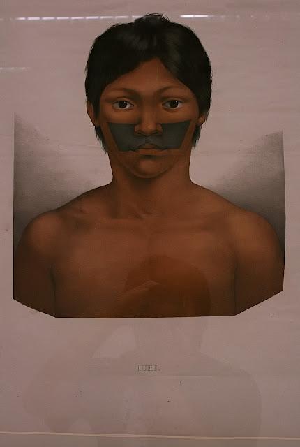 Colección Brasiliana Itaú