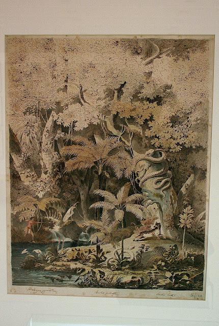 Colección Brasiliana Itaú