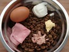 trucos para perro coma bolitas